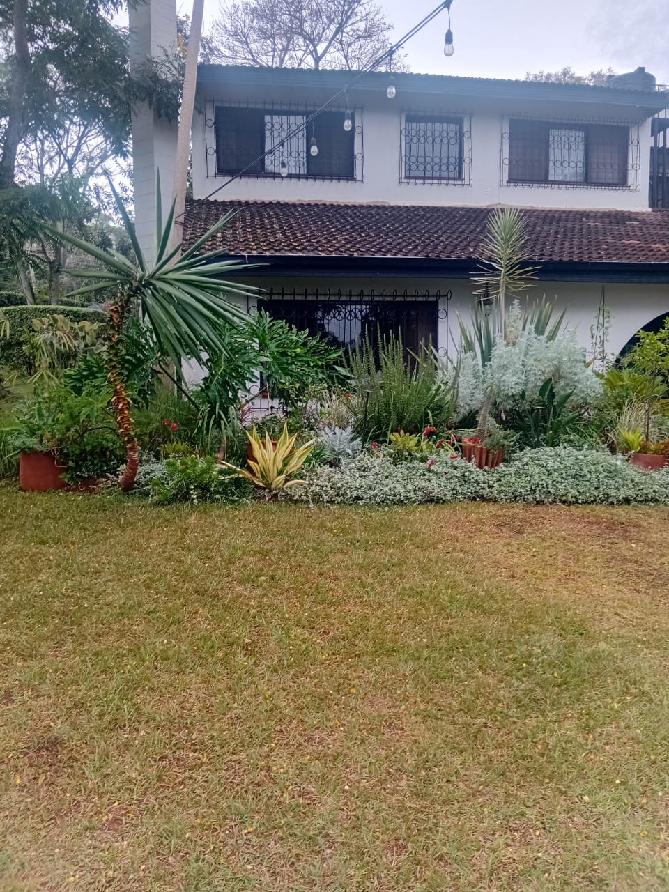 Prime 0.569-Acre Standalone 4-Bedroom Home for Quick Sale – Runda